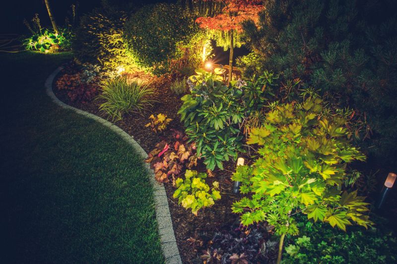 Garden and Tree Uplighting